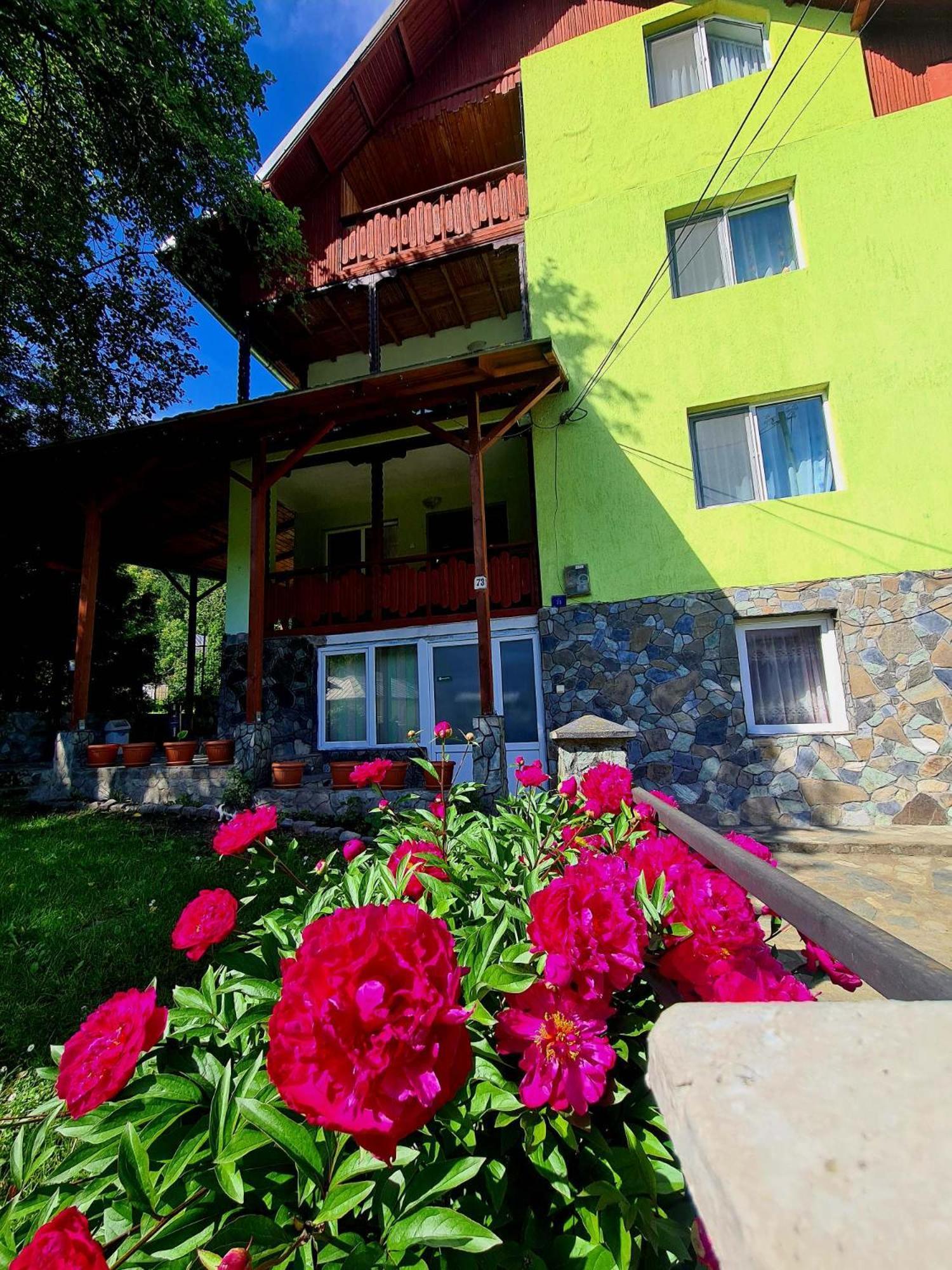Vila Giulia Voineasa Buitenkant foto