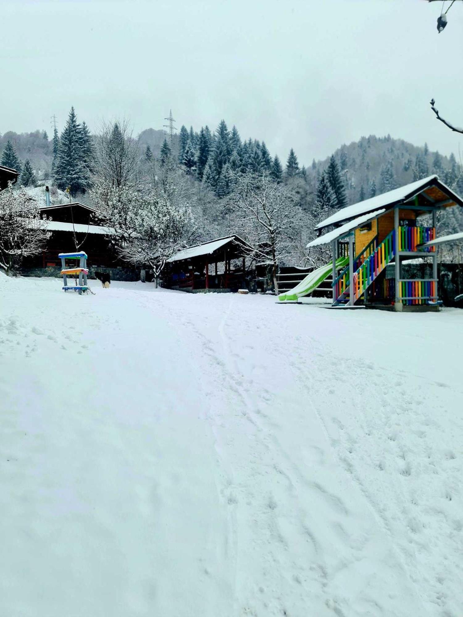 Vila Giulia Voineasa Buitenkant foto