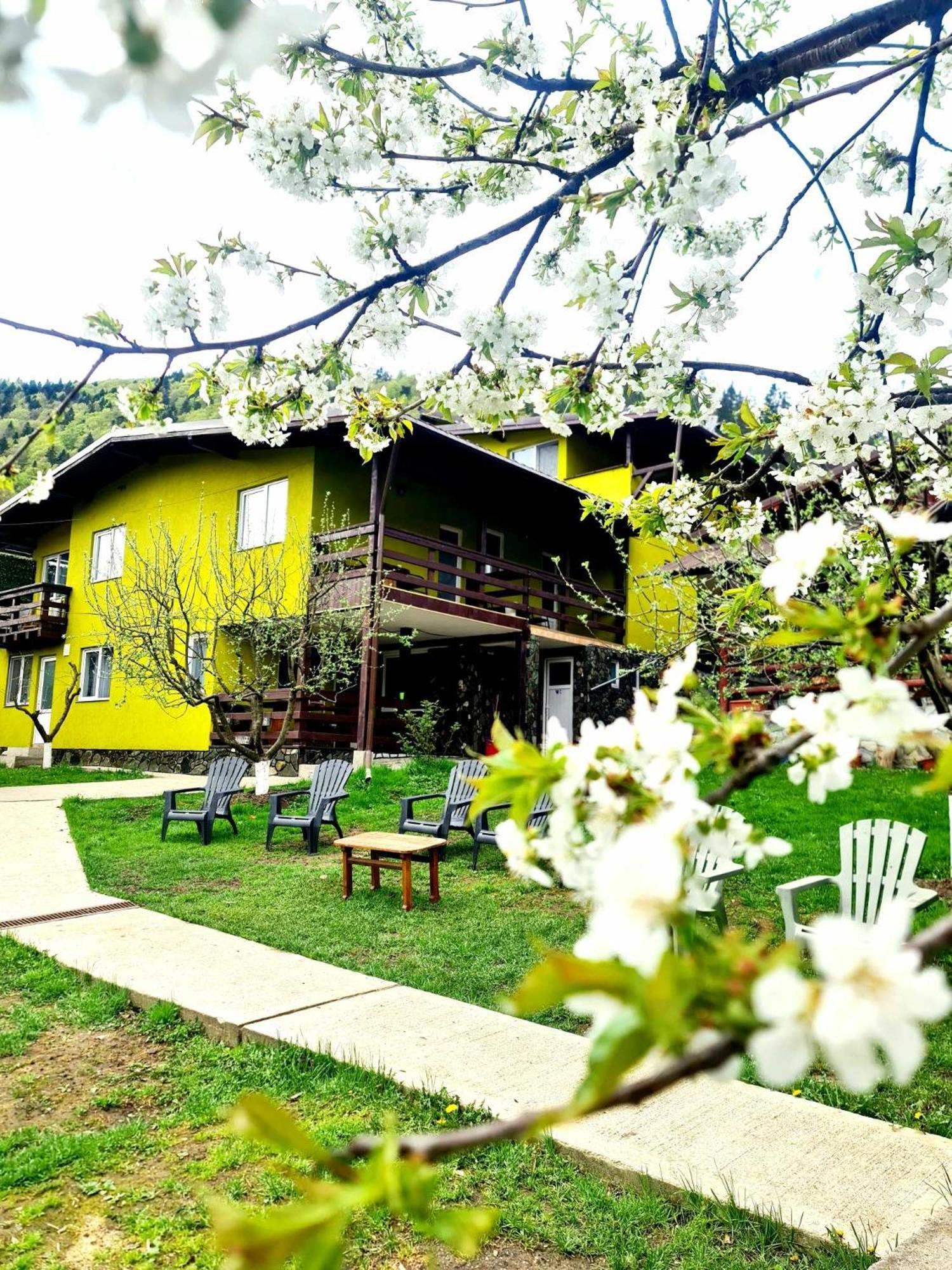 Vila Giulia Voineasa Buitenkant foto